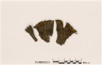 藏品(珠苔屬)的圖片